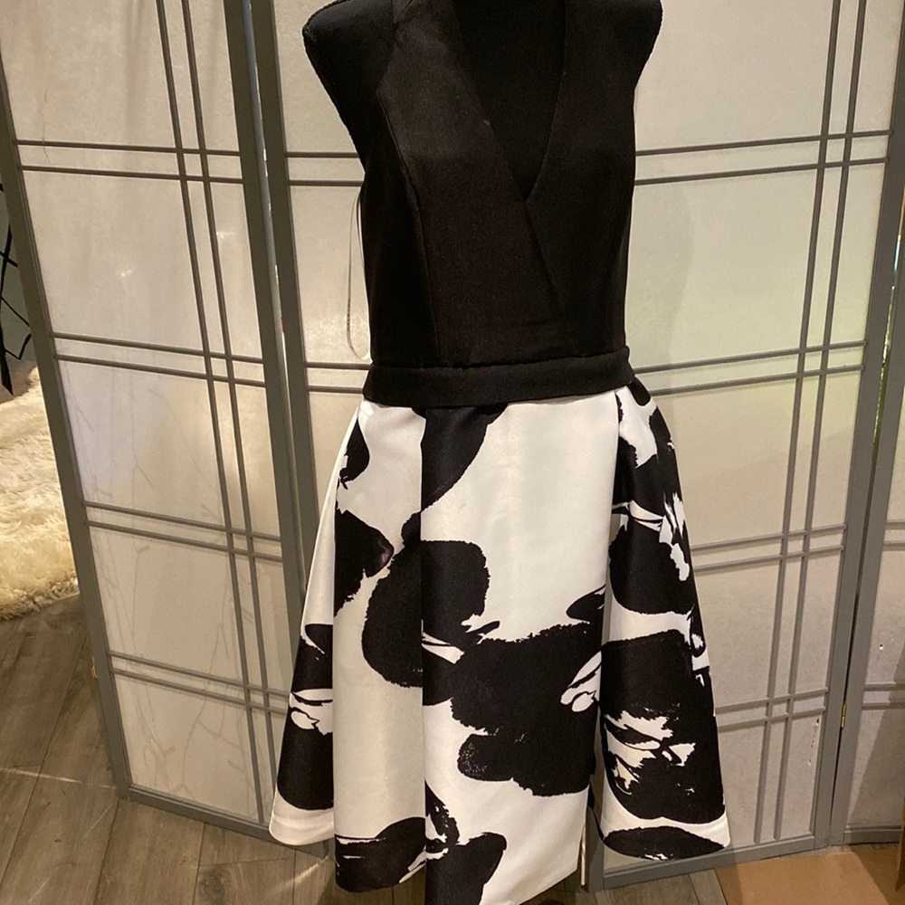 Halston heritage dress